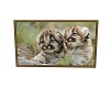 AAP-Cougar Cubs Wall Art