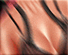 Brown Set