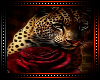 ð Leopard Background