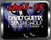 David Guetta - She Wolf