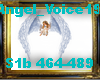 Angel_Voice19