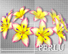 [P]LUAU Belt Flowers