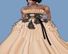 A.E! Gold Queen Gown