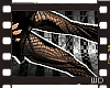 WD:: Reptilian Leggings