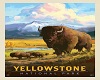 VP - Yellowstone