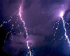 purple cuddle lightning