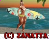 (CZ) SurfBoard Poses
