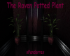 The Raven Potted Plant