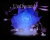 UnOwned