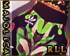 ❥ Random AF - RLL