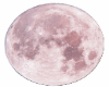 Pink Moon