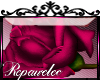 *R* HotPink Rose Sticker