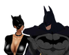 a&g batman & catwomen