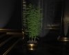 ! Penthouse Plant