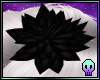 Black Hair Blossoms