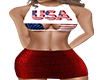 -DK-  Red USA Dress