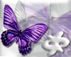 butterfly eclectic grape