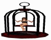 Twizted Seductions Cage2