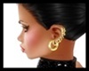 ♫GOLD Earrings