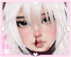 ❀. neko | yuki