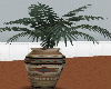 Indian vase with fern