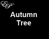 EP-Autumn Tree