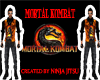Mortal Kombat Shirt
