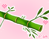 p. panda bamboo