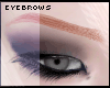 ::s brows 2 ginger