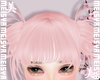 美 Phoebe