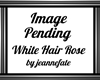 White Hair Rose