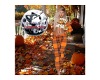 Fall pj