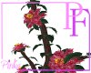 PF - Truly Pink Vines