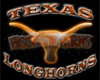 Texas Longhorn Picture