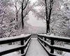 Snowy Window Bridge