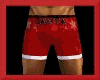 santa sexy boxers