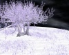 Árvore De Inverno II