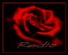 Rose Red Wall Radio