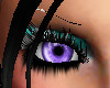 Icy Purple Eyes - Female