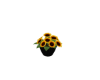 xSunflowersx
