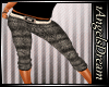 [E] RL Grey Pant