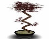 Steel Potted Red Acer 2