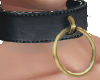 Black Collar - Gold Ring