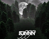 S3N-Forest Fog Night v2