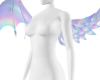 Holo Wings