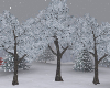 ND| Winter Trees x3