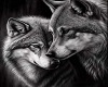 Wolf  Couple