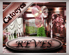 {CT}"REVES"BUNDLE