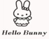Hello Bunny Shadow!~ ;O