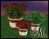 MM~ Potted Plant Trio